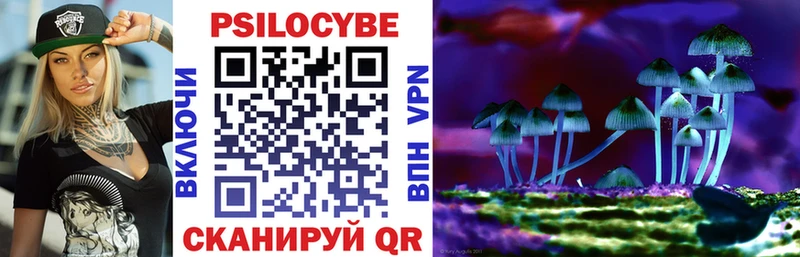 Галлюциногенные грибы Psilocybe  Озёрск 